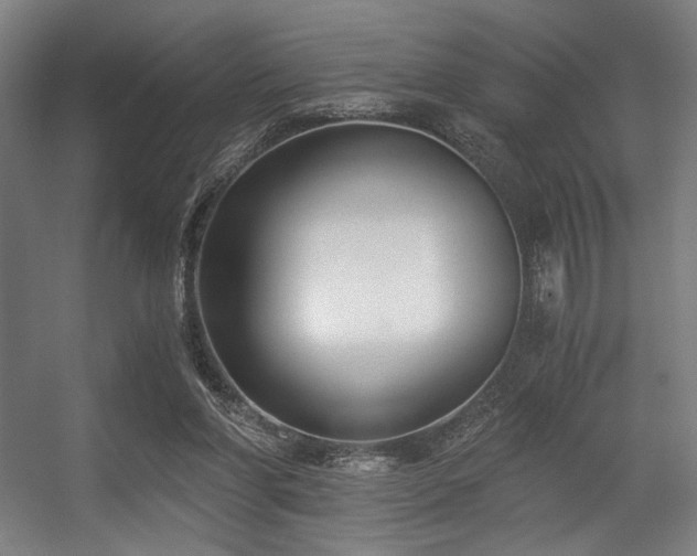 X0000056360206200508291353