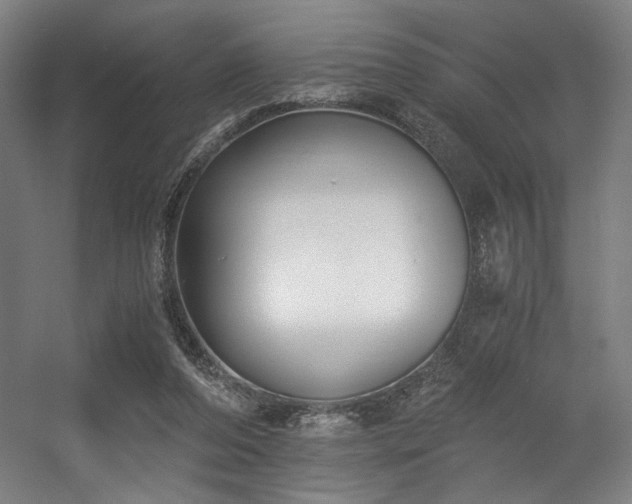 X0000056360208200508291353