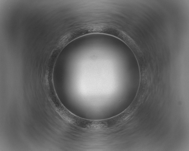 X0000056360209200508291353