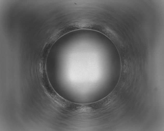 X0000056360210200508291353