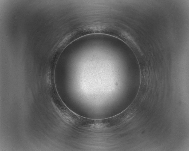 X0000056360212200508291353