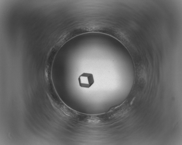 X0000056360214200508291353