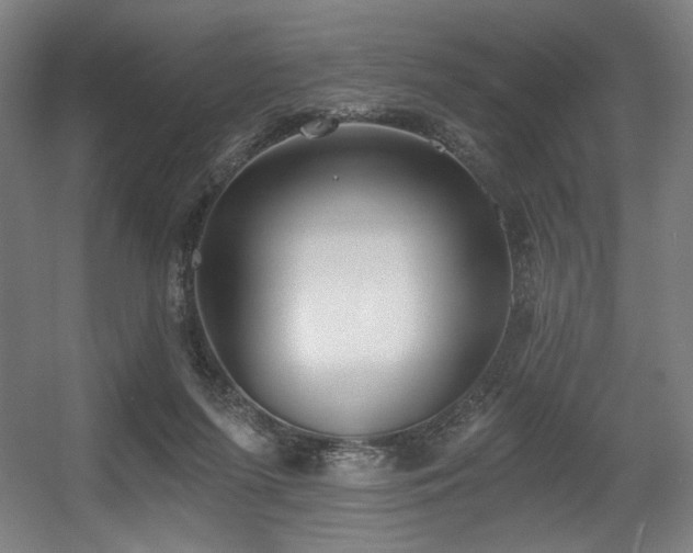 X0000056360215200508291353