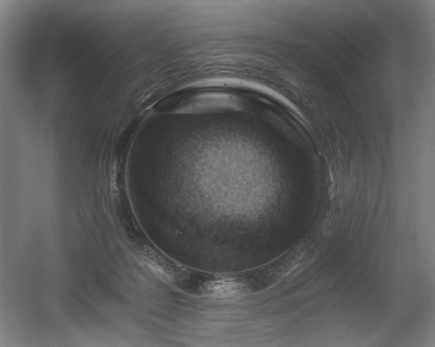 X0000056360219200508291353