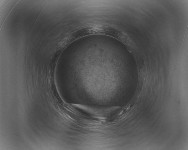 X0000056360223200508291353