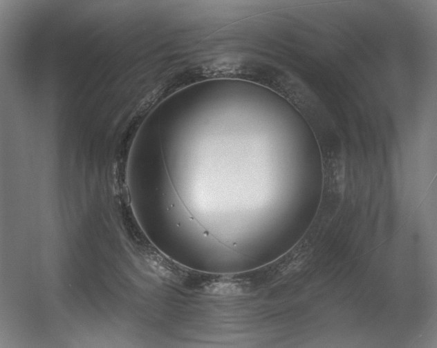 X0000056360224200508291353