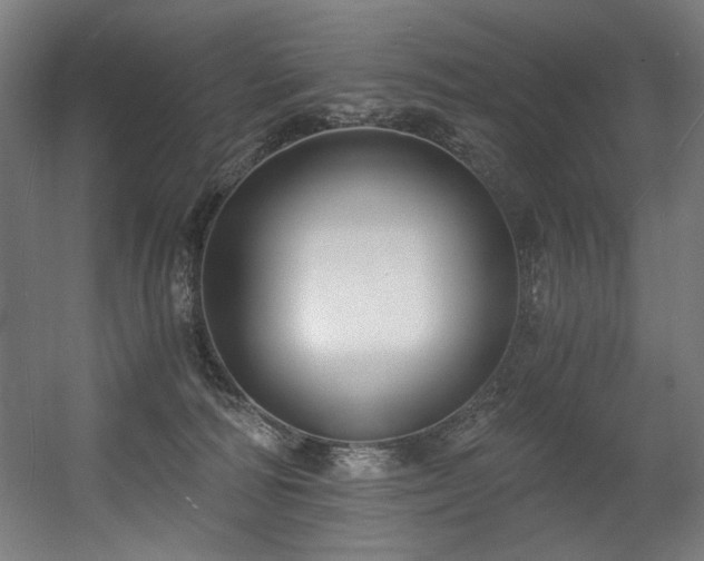 X0000056360226200508291353