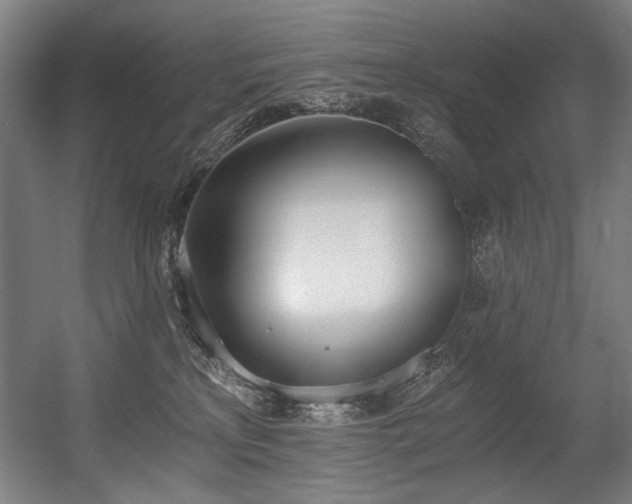 X0000056360233200508291352