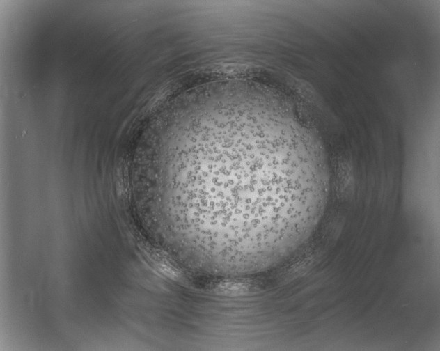 X0000056360236200508291352