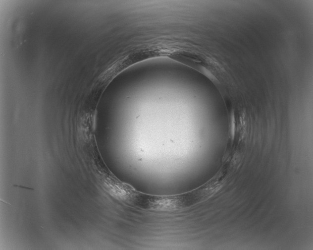 X0000056360237200508291352