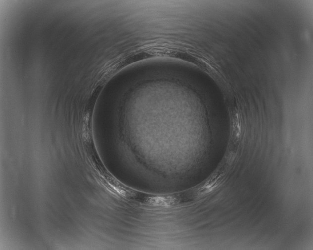 X0000056360239200508291352