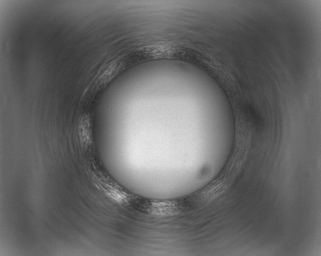 X0000056360240200508291352