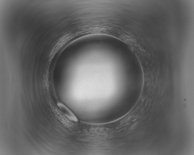 X0000056360242200508291351