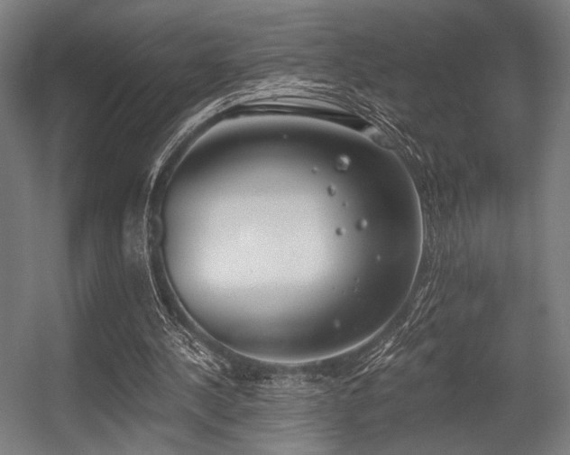 X0000056360244200508291352