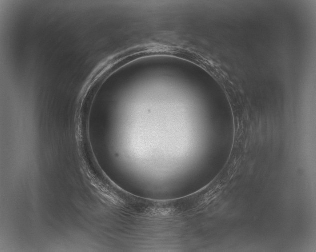 X0000056360247200508291352