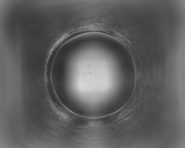 X0000056360248200508291352