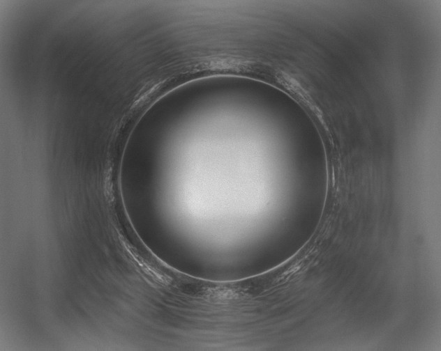 X0000056360249200508291352