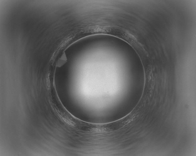 X0000056360250200508291352