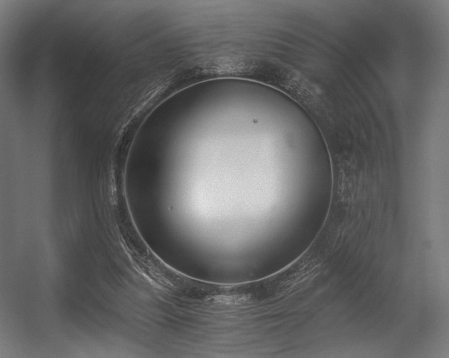 X0000056360251200508291352