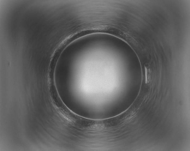 X0000056360252200508291352