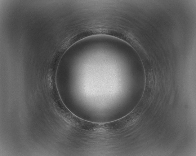 X0000056360259200508291352