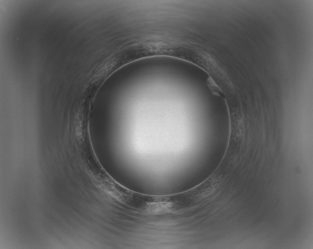 X0000056360266200508291352