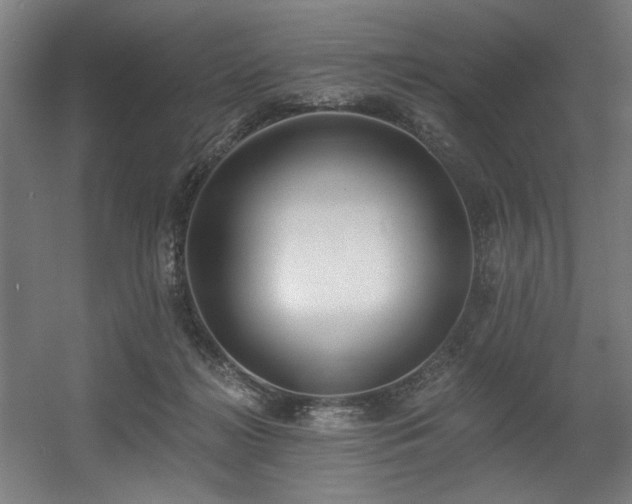 X0000056360268200508291352