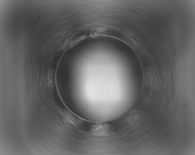 X0000056360274200508291352