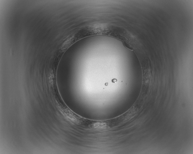 X0000056360279200508291352