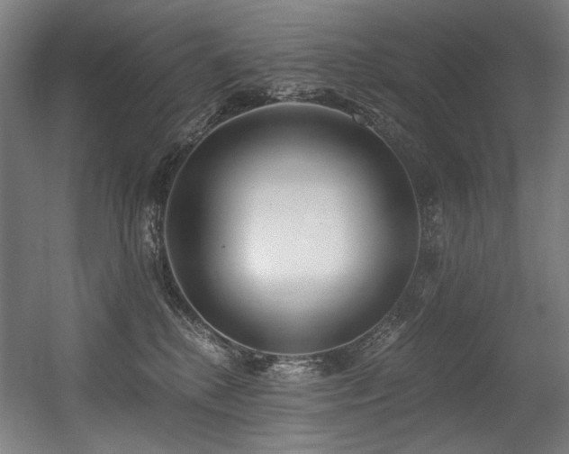 X0000056360280200508291352