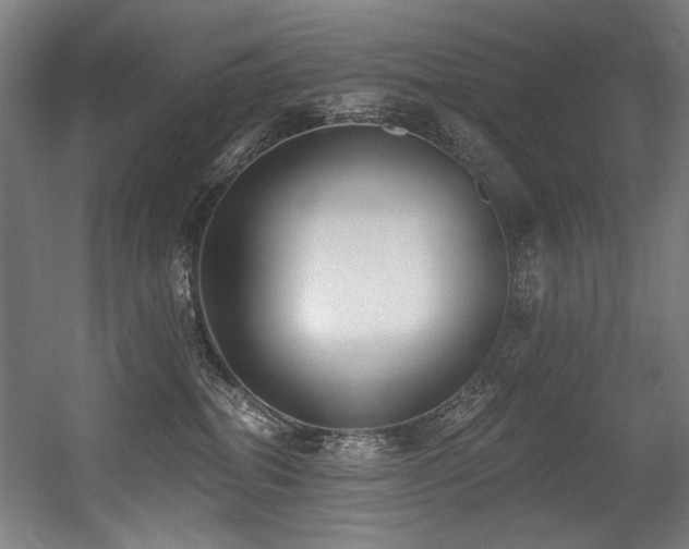 X0000056360282200508291352