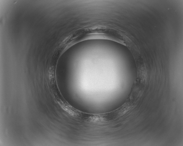 X0000056360284200508291352