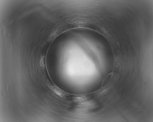 X0000056360286200508291352