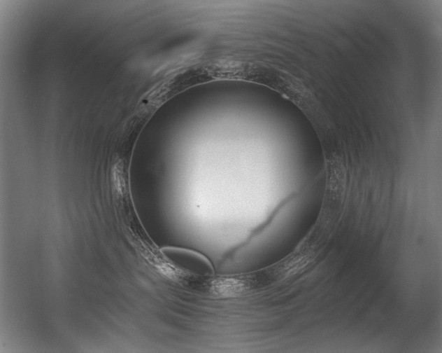 X0000056360287200508291352