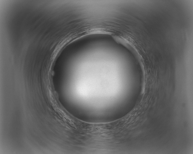 X0000056360289200508291351