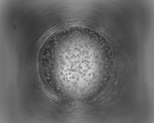 X0000056360290200508291351