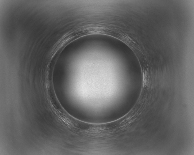 X0000056360291200508291351