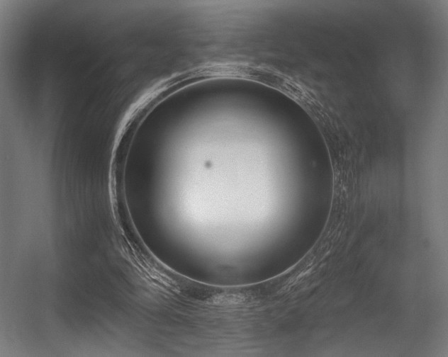 X0000056360294200508291351