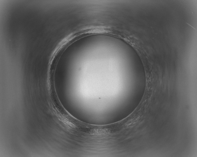 X0000056360296200508291351