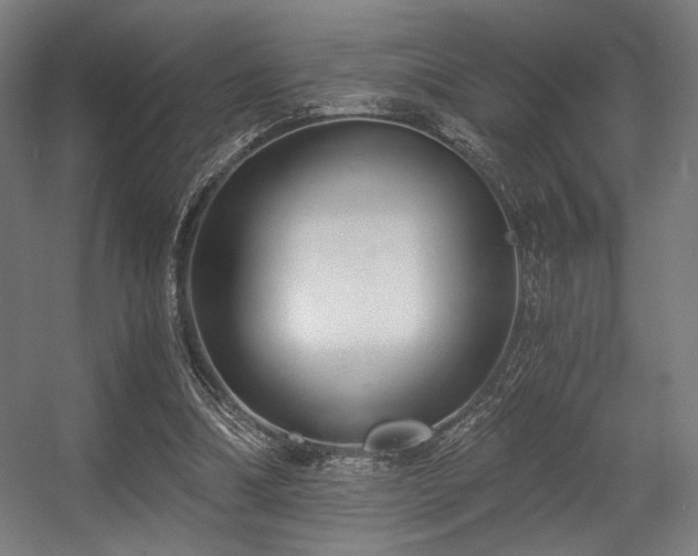 X0000056360298200508291351