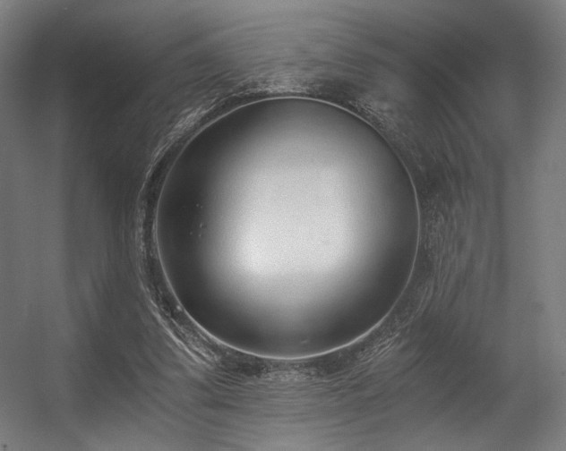 X0000056360299200508291351