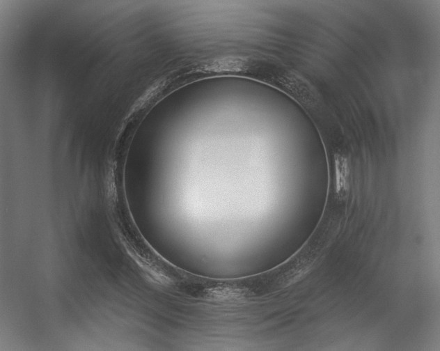 X0000056360300200508291351