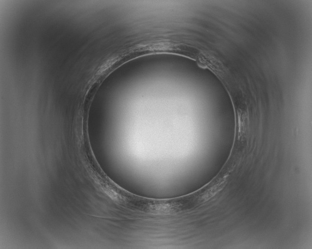 X0000056360301200508291351