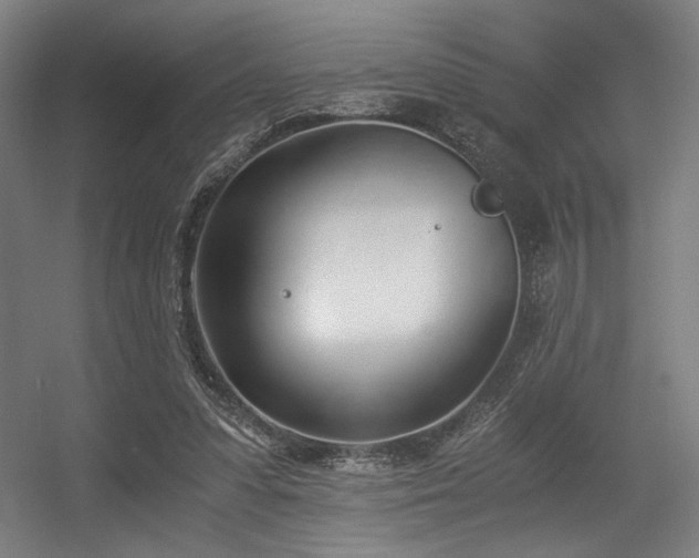 X0000056360303200508291351