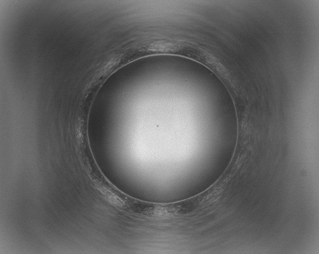 X0000056360305200508291351