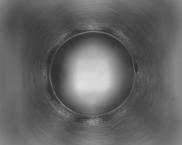 X0000056360306200508291351