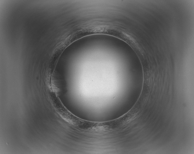 X0000056360307200508291351