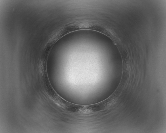 X0000056360311200508291351