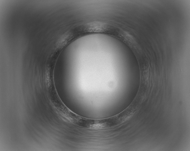 X0000056360312200508291351