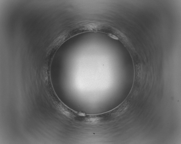 X0000056360313200508291351